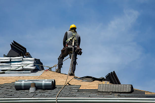 Professional Storm Damage Roof Repair technician working in Illinois City, IL